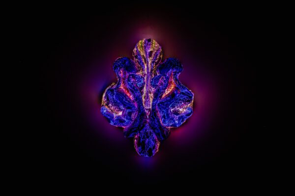 Andetag Gems, Sapphire - Image 4